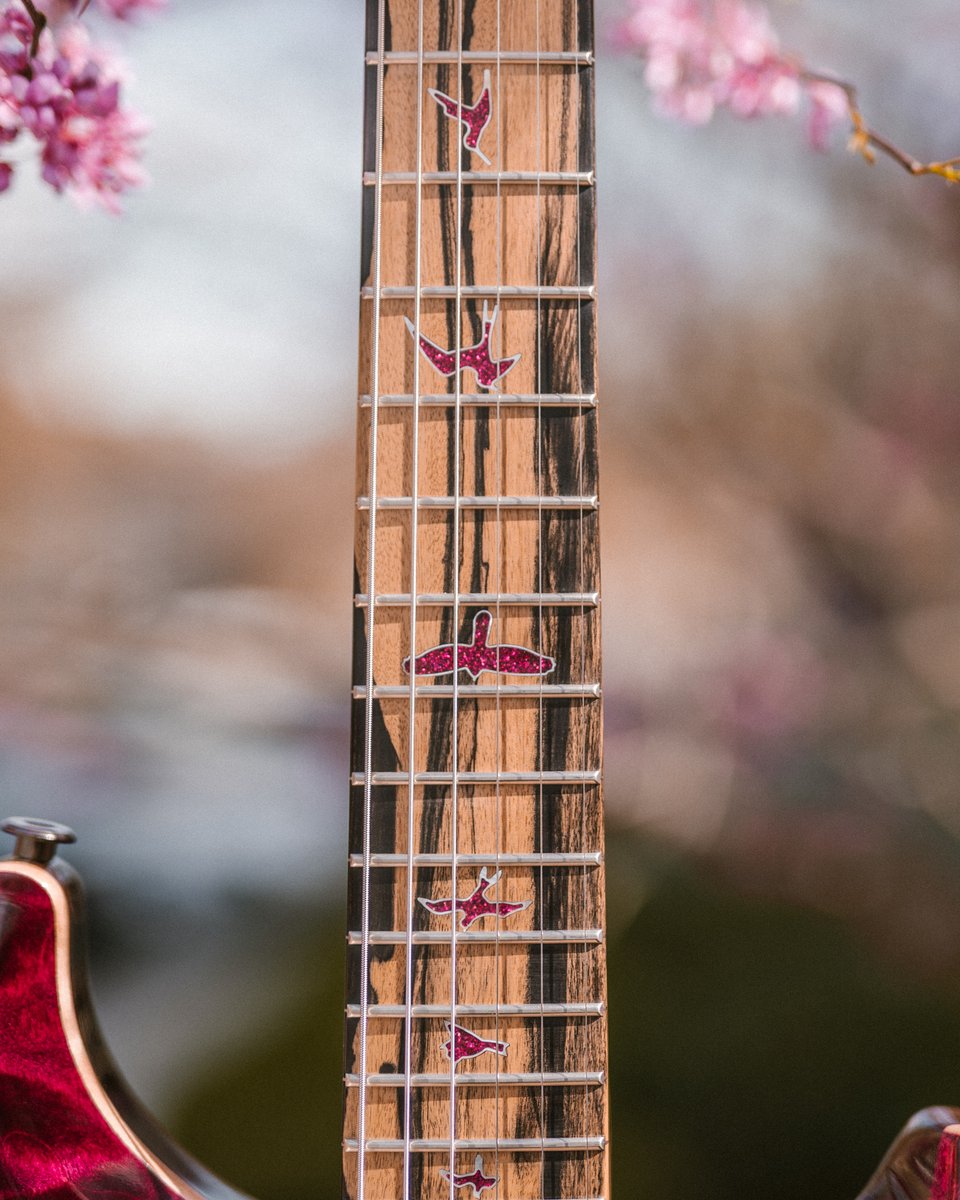 This might be the best blossom of the bunch! 🌸 Picked just in time for #privatestockfriday 😍