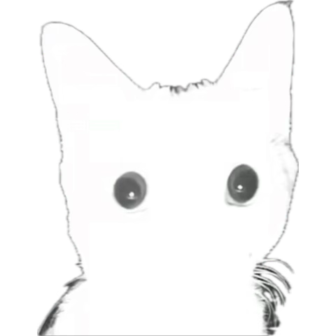 toomanycups_'s tweet photo. Me on da way home from da liqua sto staring into the headlights of a Sysco semi truck https://t.co/ewXpbxUHMc