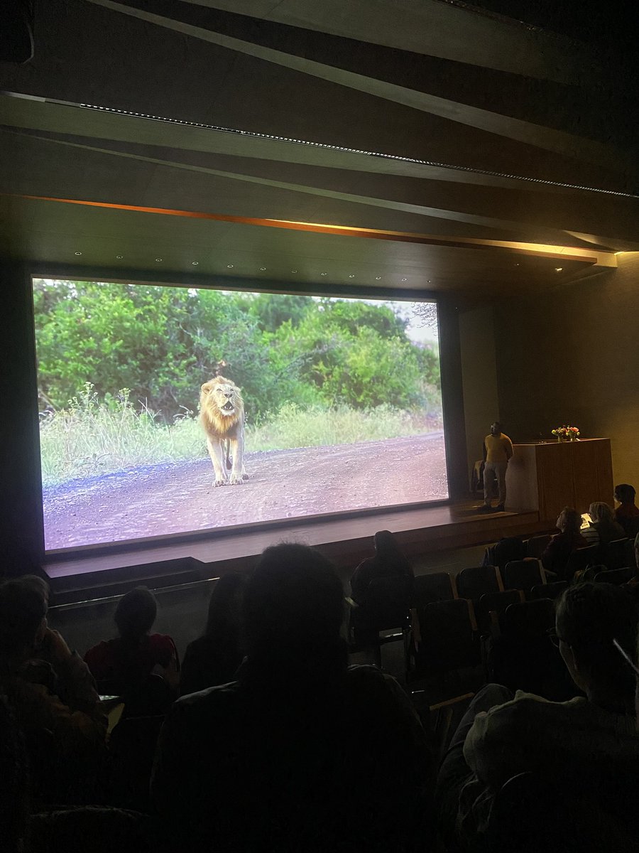 Very enjoyable and inspiring lecture from <a href="/ParasChandaria/">Paras Chandaria</a> today at <a href="/The_GA/">Geographical Association</a> #GAConf25 - really made me want to go on safari again! Emotional and thought provoking-thanks 🙏🏻