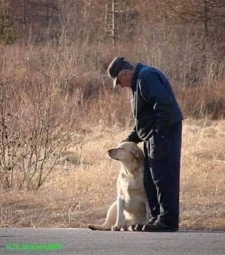 WHEN I AM OLD
When I am old...
I will wear soft gray sweatshirts...
and a bandana over my silver hair...
and I will spend my social security checks on my dogs.
I will sit in my house on my well-worn chair
and listen to my dogs breathing.
I will sneak out in the middle of a warm