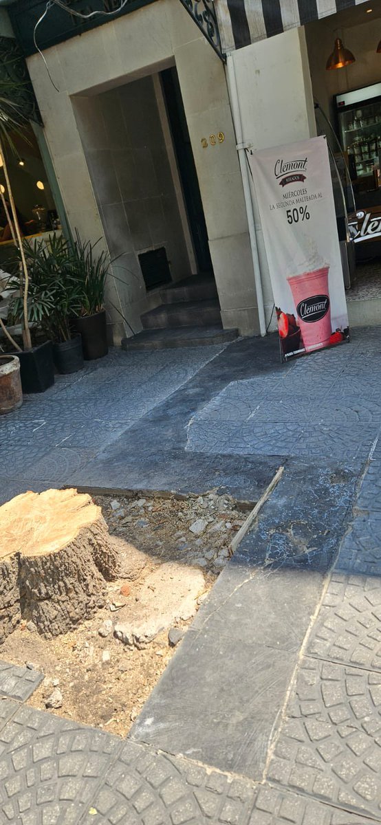 Ayer en #EmilioCastelar209 talaron un árbol que estaba bien Quizás le estorbaba a los establecimientos mercantiles ahí establecidos Esto es un #DelitoAmbiental Pedimos a las autoridades <a href="/AlcaldiaMHmx/">Alcaldía Miguel Hidalgo</a> ver el permiso otorgado y restituyan el árbol <a href="/PAOTmx/">PAOT</a> <a href="/supercivicosmx/">Los Supercívicos</a> #Ecocidio