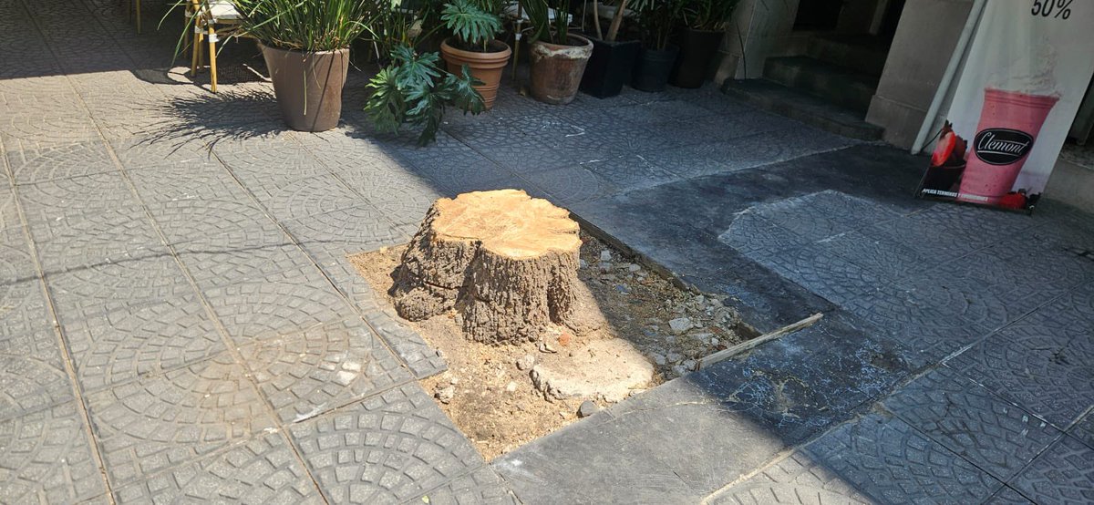 Voz de Polanco tweet media