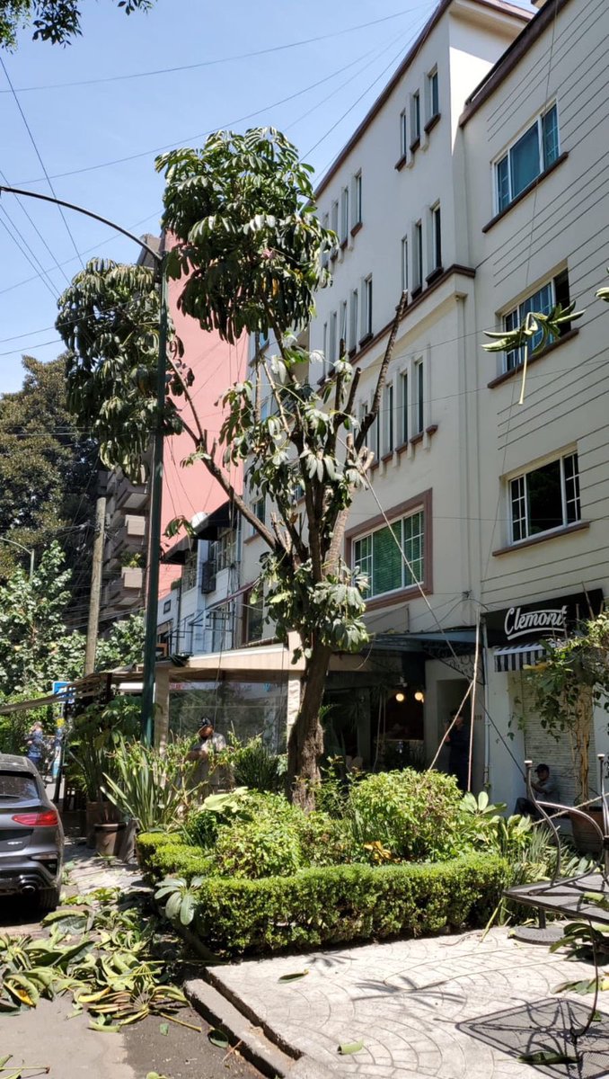 Voz de Polanco tweet media