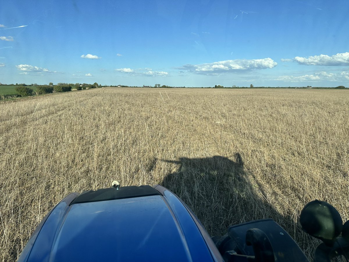 sjgadd's tweet photo. What a fantastic day it been, glorious weather and finding moisture with the drill after 12mm at the start of the week! https://t.co/tlcISuTbDx