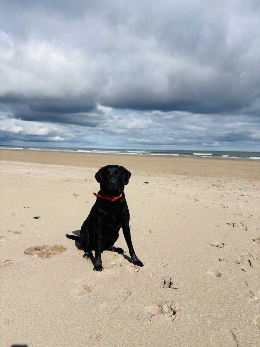 Beach days 🌞🐚😎