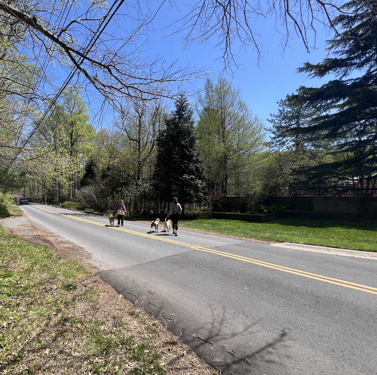 For anyone living in Silver Spring, Maryland, has there been past work to get a sidewalk on Glenallan Ave? With tulip season at Brookside Garden and so many homes on that road, seems a little ridiculous that there’s not a safe walkway.