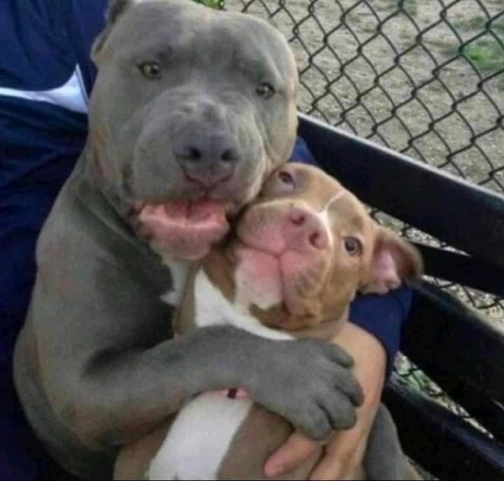 When you’re both cheaters, but you’re still together for the sake of the kids😂