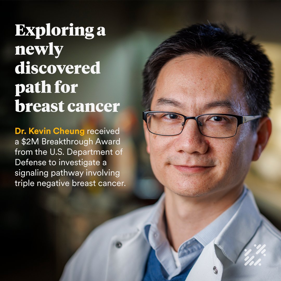 fredhutch's tweet image. Fred Hutch translational researcher Dr. Kevin Cheung just received a $2M Breakthrough Award from the U.S. DoD’s Congressionally Directed Medical Research Programs, or CDMRP, to investigate a newly discovered pathway involving triple negative breast cancer, or #TNBC. 1/5
