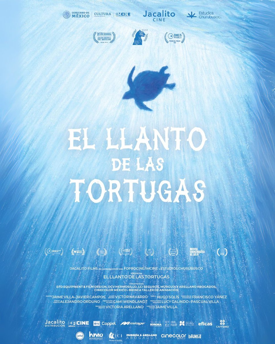 El llanto de las tortugas tweet media