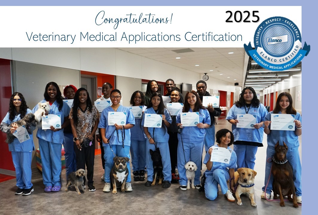 James Reese Career and Technical Center (@ctereesecenter) on Twitter photo Congrats to our Vet Med students for earning industry certification! Here are the AM students with Ms. Pittman and their fur friends. #dogwashday #industryready #vetmed <a href="/FBISD_CTE/">Fort Bend ISD CTE</a> <a href="/lizg_canchola/">Elizabeth Canchola</a> <a href="/VikingSquires/">David Squires</a> Congrats to our Vet Med students for earning industry certification! Here are the AM students with Ms. Pittman and their fur friends. #dogwashday #industryready #vetmed <a href="/FBISD_CTE/">Fort Bend ISD CTE</a> <a href="/lizg_canchola/">Elizabeth Canchola</a> <a href="/VikingSquires/">David Squires</a>