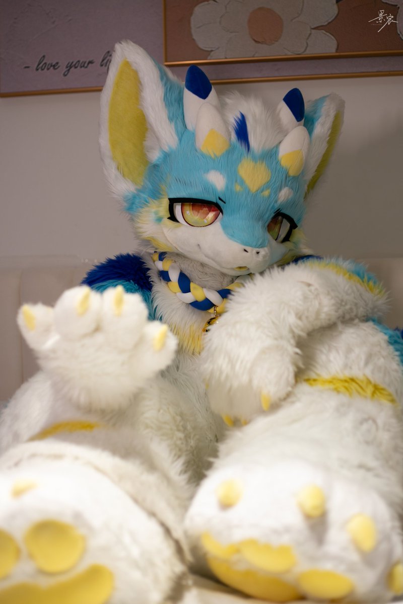 哪种邀请才会获得你的青睐呢~
#FursuitFriday 
📷<a href="/jece9925/">景小宸</a>