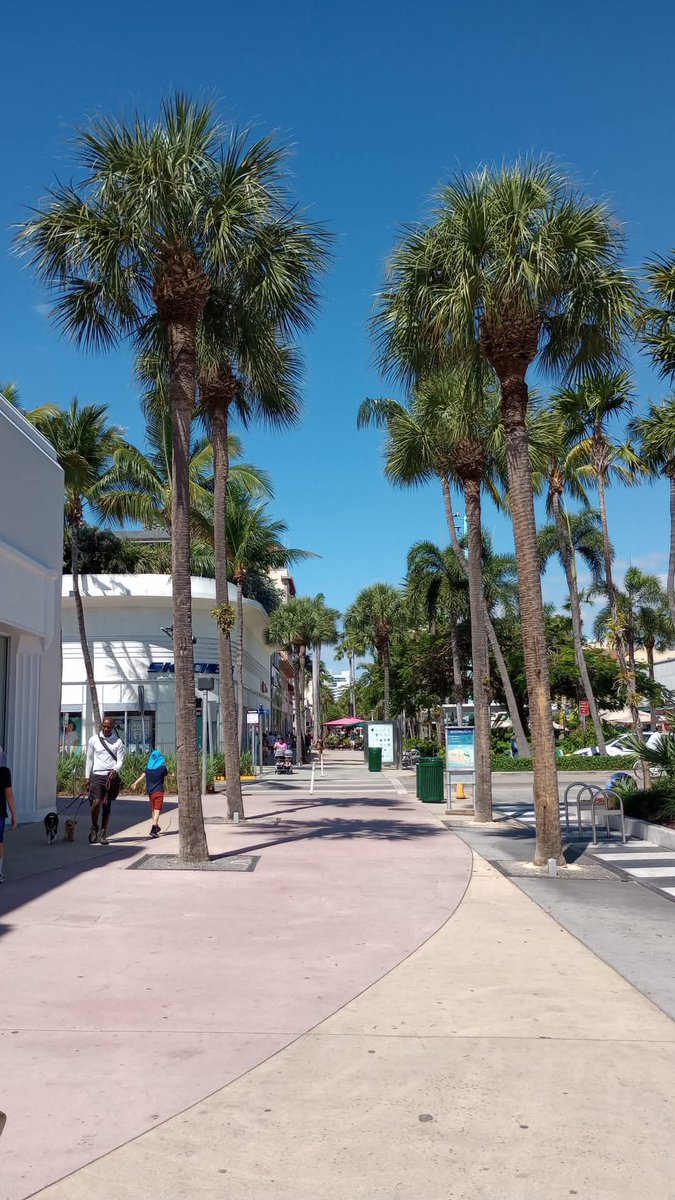 Hsinack's tweet photo. #MiamiBeach #HollyWeek 🏖️☀️ https://t.co/tIYawQPibl