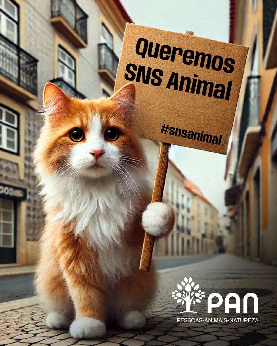 PanPorto's tweet photo. Já encontraste um animal abandonado que precisava de cuidados veterinários urgentes… mas ninguém quis/pôde pagar?
Já conheceste uma família cujo animal — muitas vezes o maior apoio emocional — precisava de uma cirurgia… e o sofrimento foi enorme, dinheiro para pagar a conta? https://t.co/WKIgmZ6aX9