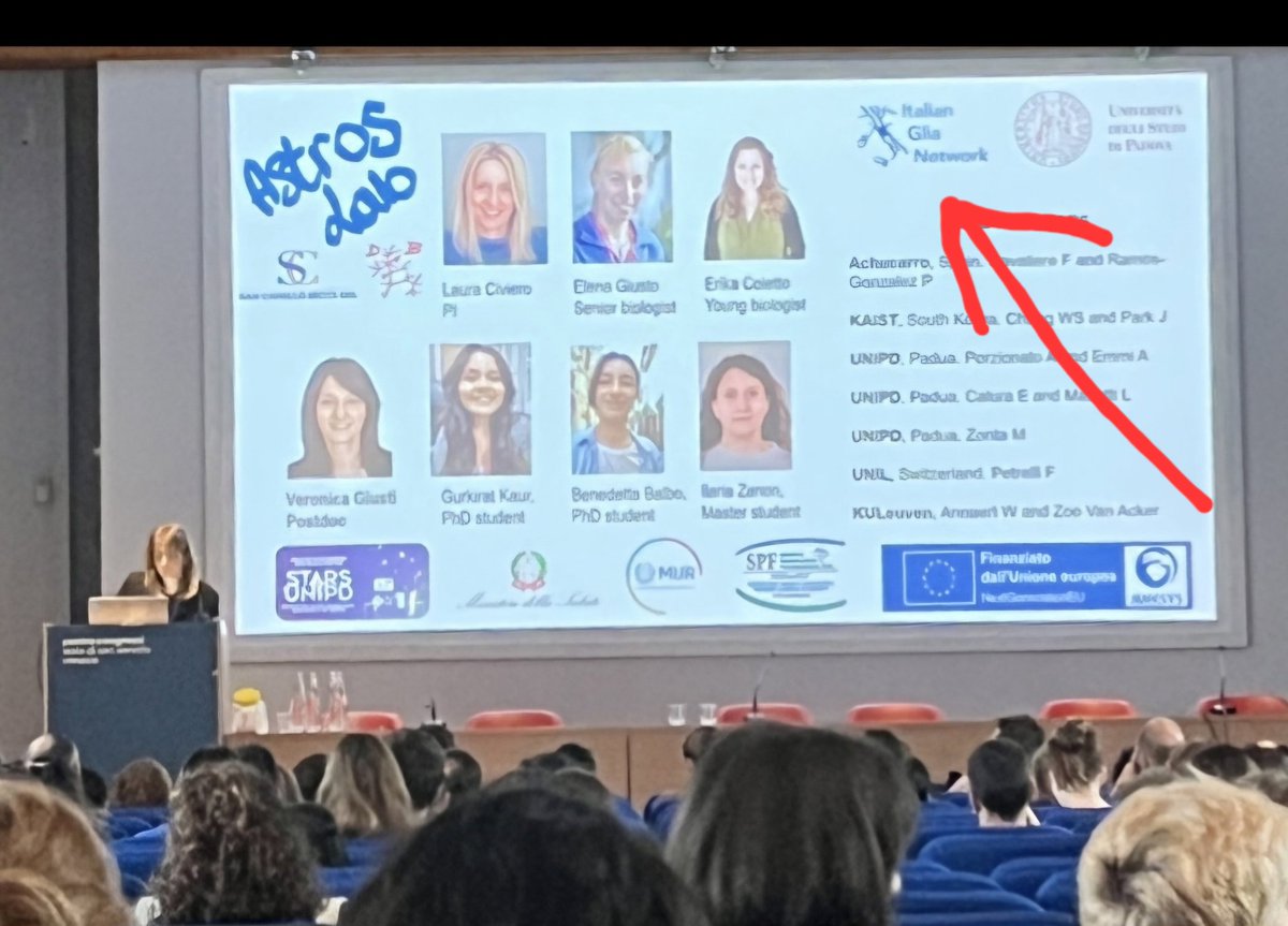 Top world #Astrocyte Scientists are now in Venice at the #EMBOastrocytes. Italian Glia Network is present with <a href="/CarmenFalcone6/">Dr. Carmen Falcone</a> and <a href="/LauCiviero/">Laura Civiero</a>, also as organizer. Thank you girls!!!