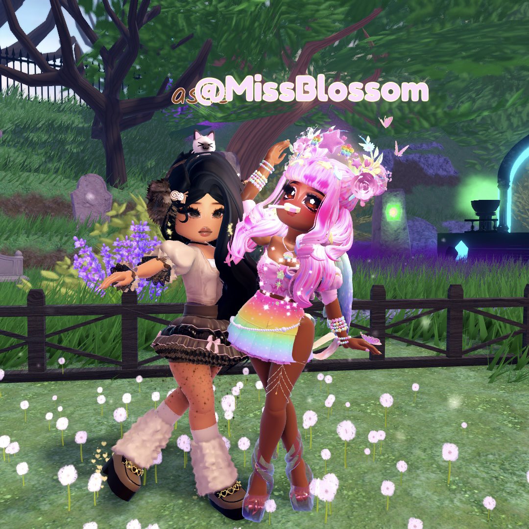 Ashe 🤍 tweet media