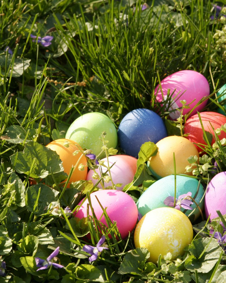 You are NEVER too old for an Easter Egg Hunt. How many eggs are you going to find? P.S. there's going to be some very special prizes 😉 See you later today!

#usc #uscfamily #usctrojans #usctrojan #fighton #student #studentliving #studenthousing #housing #apt #apartment...