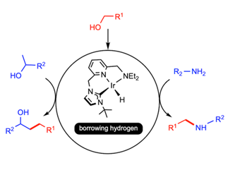 Jesús PT (@jjpt62) on Twitter photo We are delighted to share our latest work (full edited) on the mechanism of iridium precatalyst activation in borrowing hydrogen catalysis, now published in #ChemAsianJ. Congratulations to the team. <a href="/geqo_rseq/">GEQO RSEQ</a> <a href="/ISQCH/">ISQCH (CSIC-UNIZAR)</a> <a href="/unizar/">Universidad Zaragoza</a>
aces.onlinelibrary.wiley.com/doi/10.1002/as… We are delighted to share our latest work (full edited) on the mechanism of iridium precatalyst activation in borrowing hydrogen catalysis, now published in #ChemAsianJ. Congratulations to the team. <a href="/geqo_rseq/">GEQO RSEQ</a> <a href="/ISQCH/">ISQCH (CSIC-UNIZAR)</a> <a href="/unizar/">Universidad Zaragoza</a>
aces.onlinelibrary.wiley.com/doi/10.1002/as…