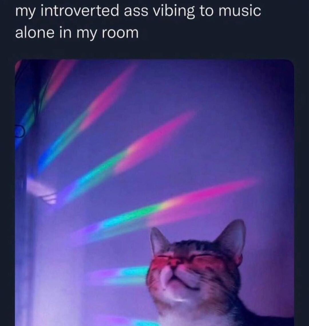 WholesomeMemes tweet media