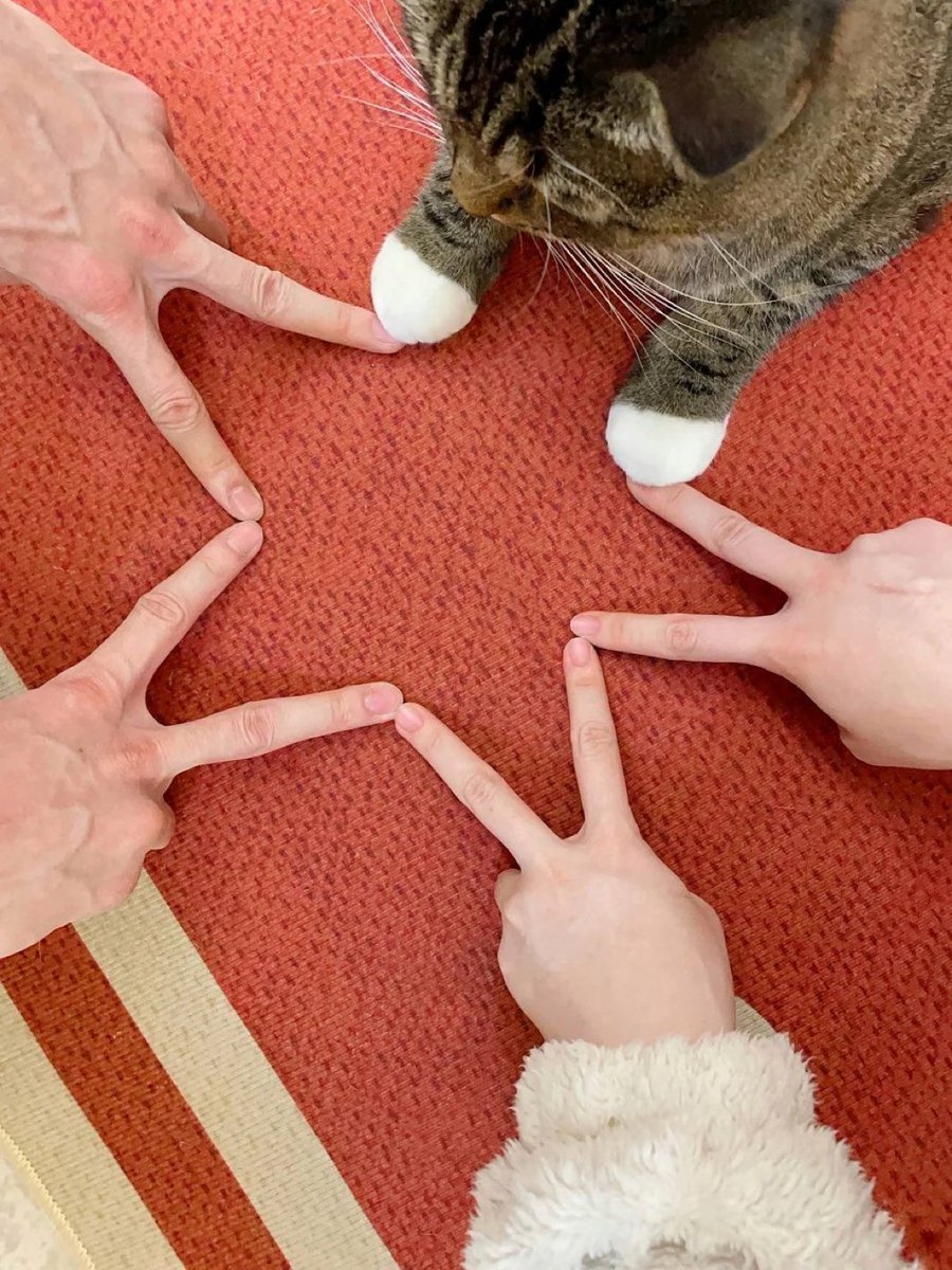 癒しの動物 (@animalkyat) on Twitter photo 