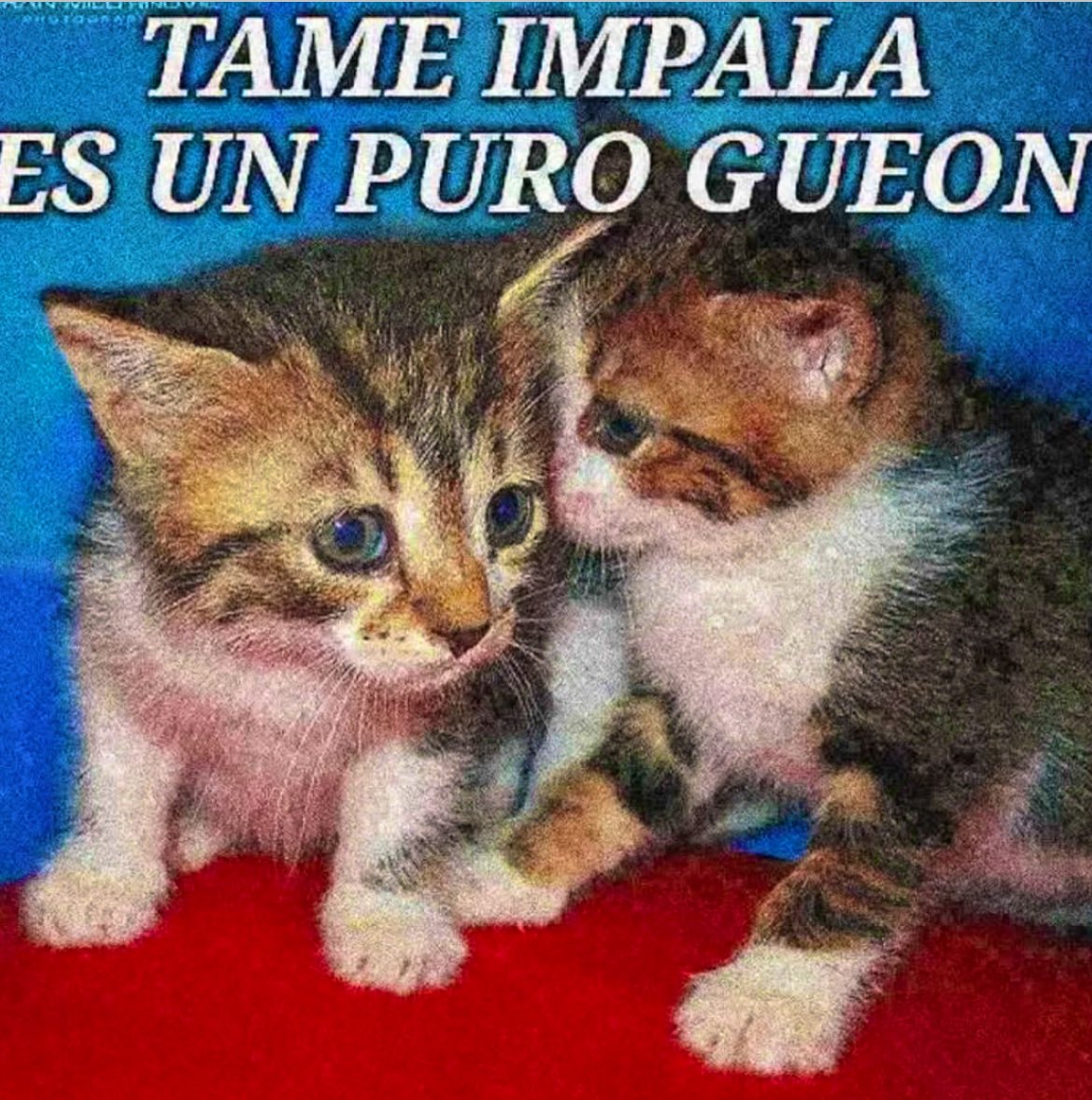 mily 🐹 (@lvly42) on Twitter photo 