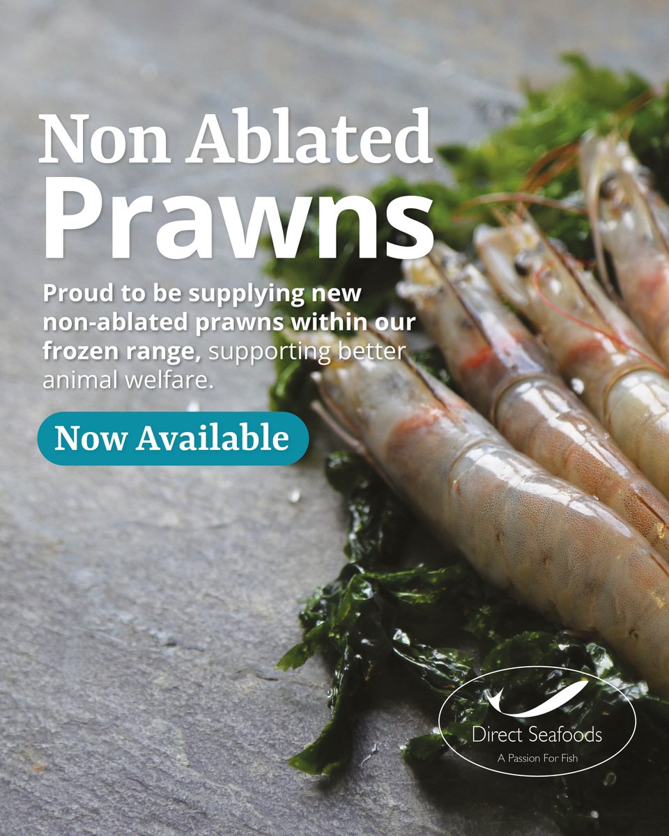 Direct Seafoods tweet media