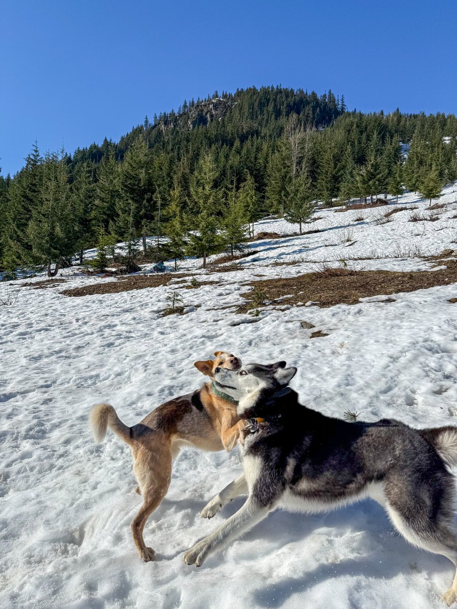 i made a new friend today we’re having a great time