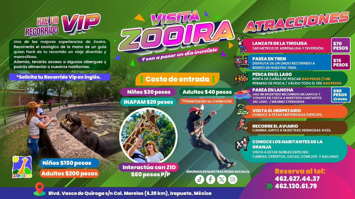 #VisitaIrapuato | 🐒¡Estas vacaciones vive un día increíble en el Zoológico de Irapuato! Interactúa con animales y disfruta de emocionantes atracciones como la tirolesa y el paseo en tren. 🚂

✨ ¡En #Irapuato hay diversión para toda la familia!