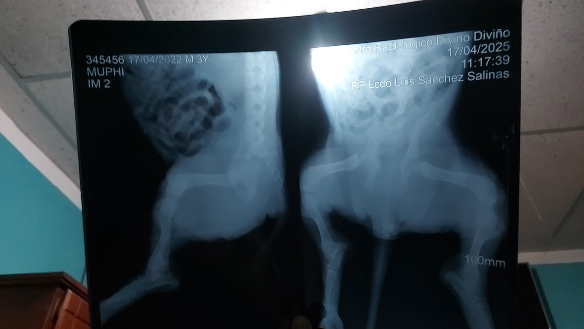 ๐ข๐๐ โท โโโ ๐ธ tweet media