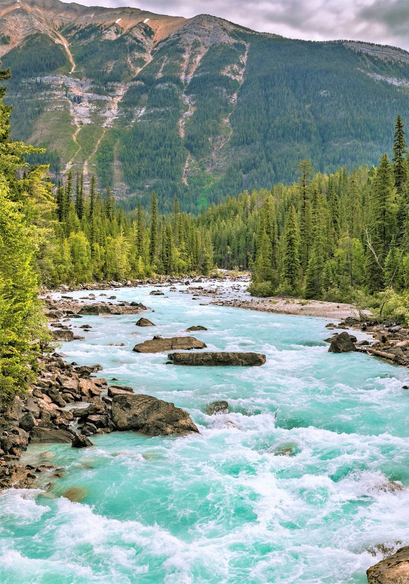 Yoho National Park,British Columbia-Canada.
