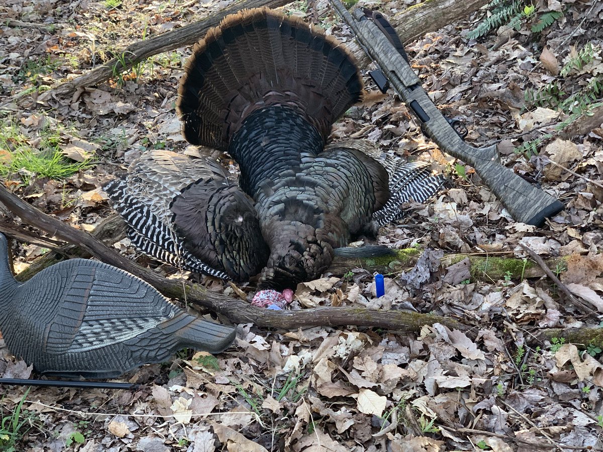 2000Helmick's tweet image. Last year 2nd day of season!! Public ground!