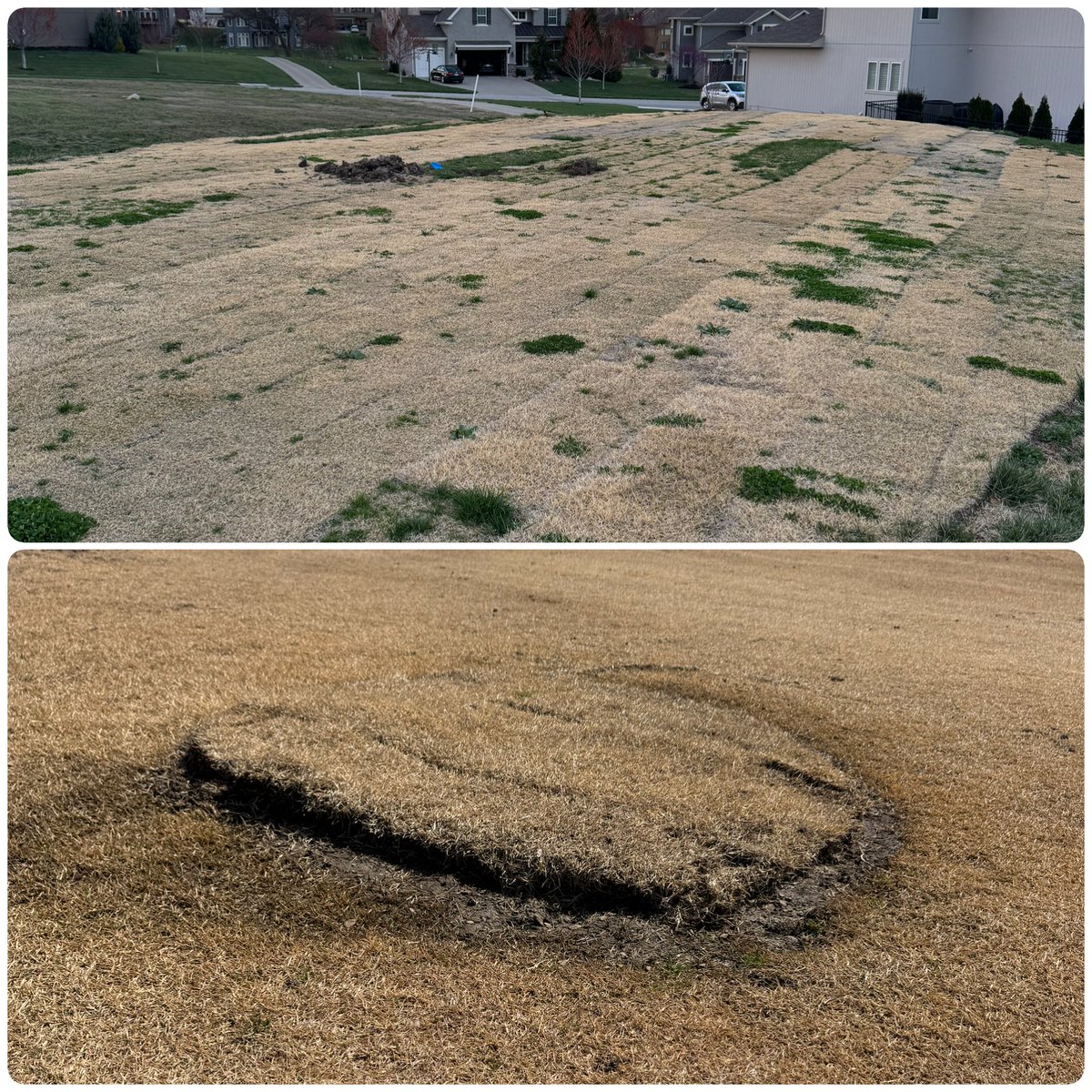 Spoiled members complaining about course conditions…tale as old as time. 
Guess nobody cares about all that winter #work that was completed! SAD!!