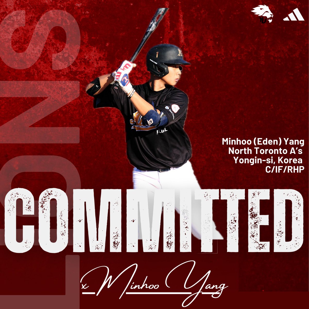 York Lions Baseball tweet media