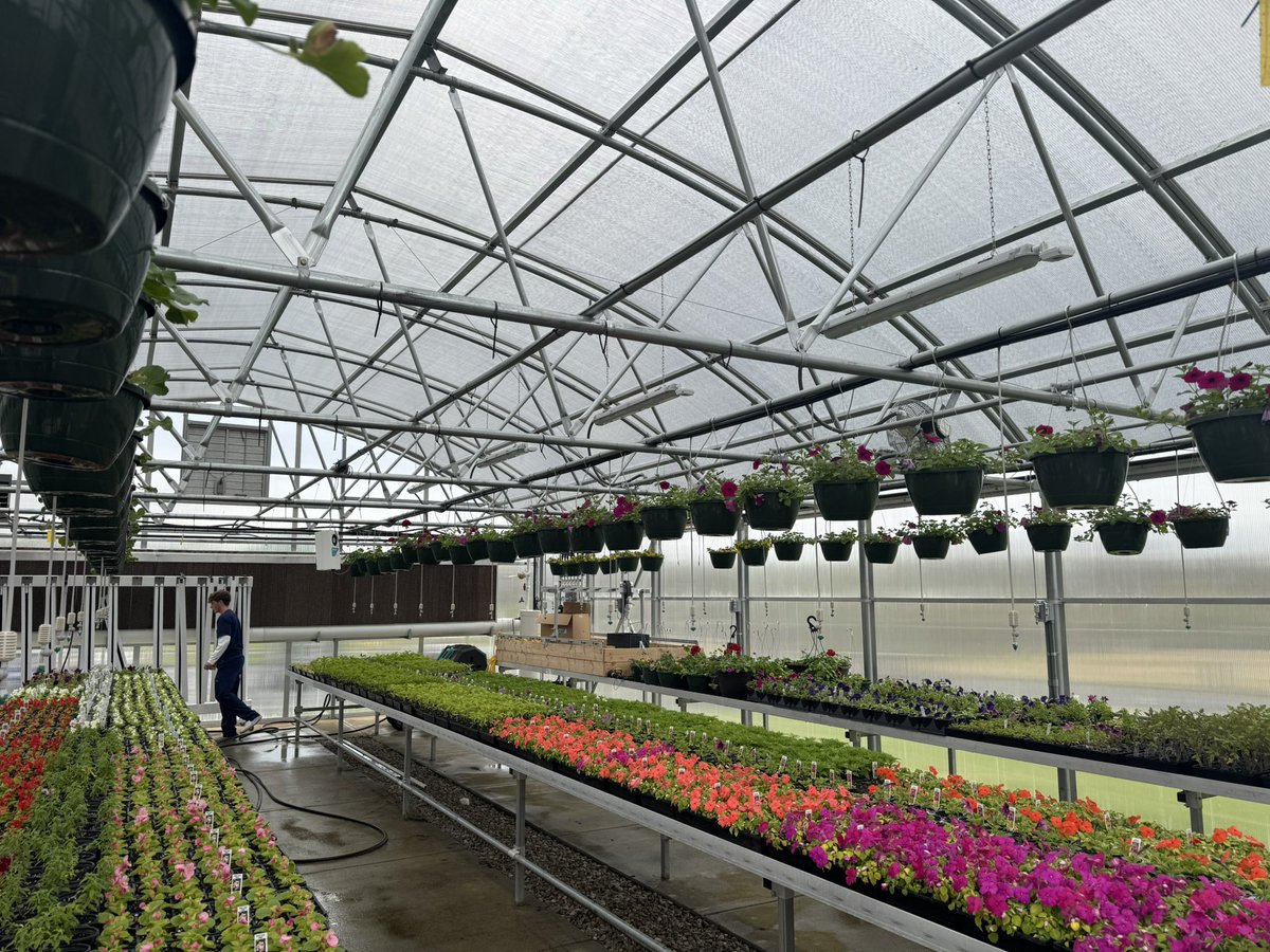 Greenhouse Sales open in April 26th! Come by and support a great group of students who have worked very hard! <a href="/HardinCoSchools/">Hardin County Schools - Kentucky</a> <a href="/gojohnhardin/">John Hardin H.S.</a>