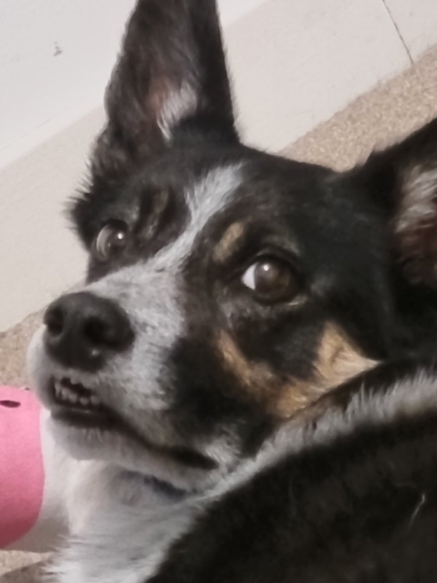 Axel Tyler tweet media