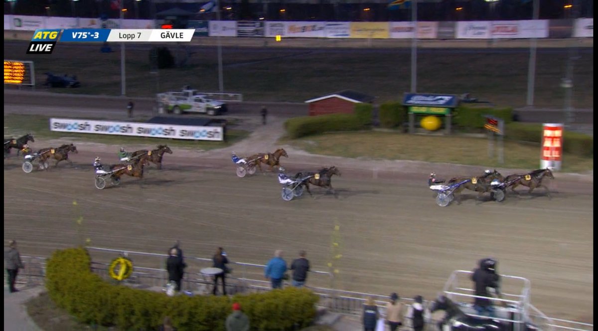 Picobello gjorde en stark avslutning på Gävletravet och blev trea i stayerloppet på V75🥉En fin prestation där tredjeplatsen belönades med 29.000 kronor.