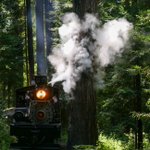 Photo by Roaring Camp (@roaringcamp)