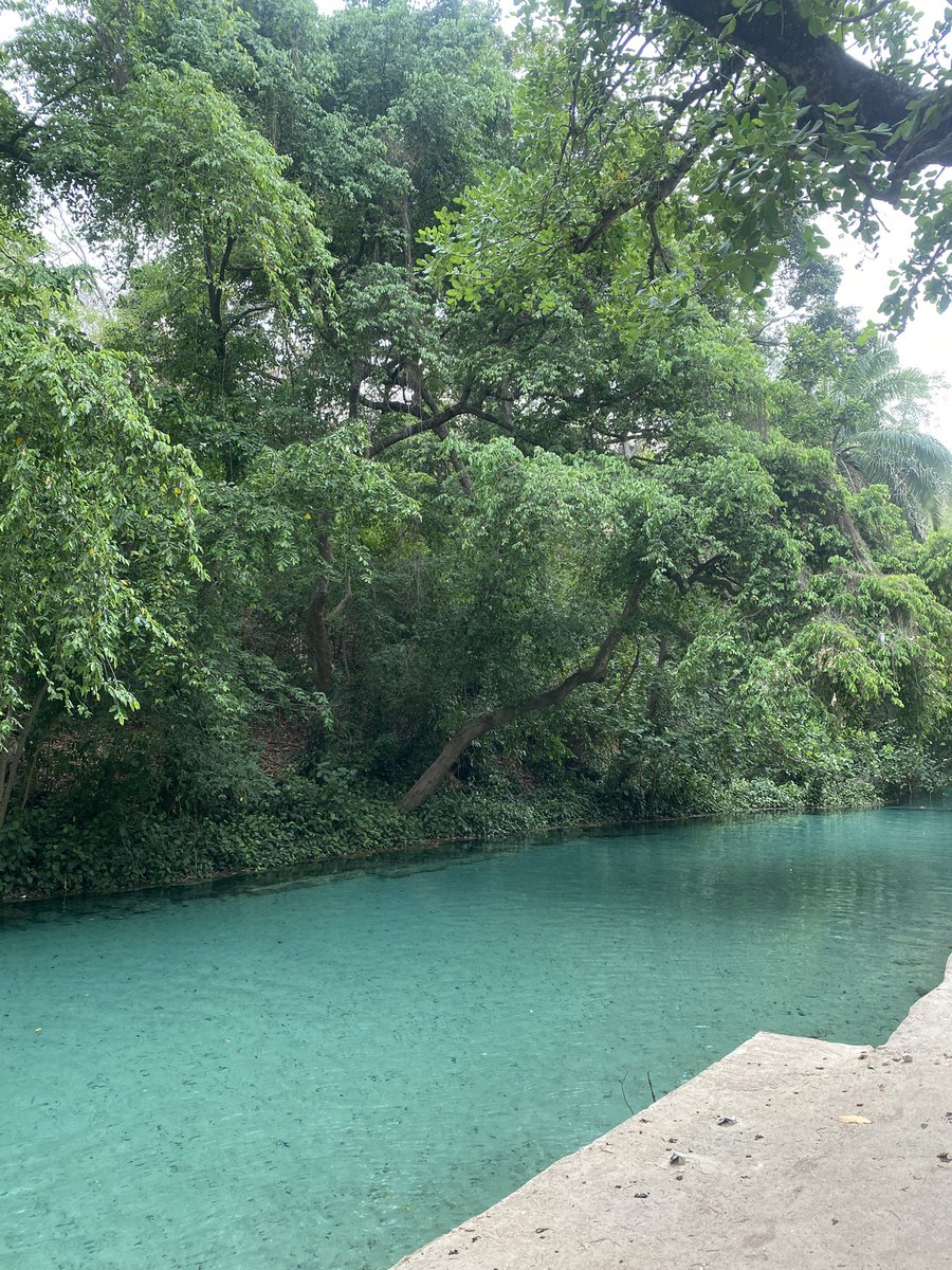 abbkar_ai's tweet image. My visit to Yankari Game Reserve, in Bauchi, a journey filled with education and experience.
Thread!