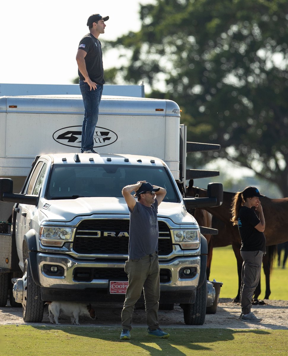Global Polo tweet media