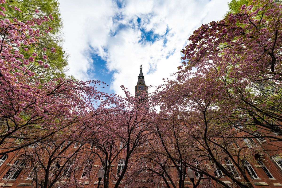 Georgetown Admissions tweet media