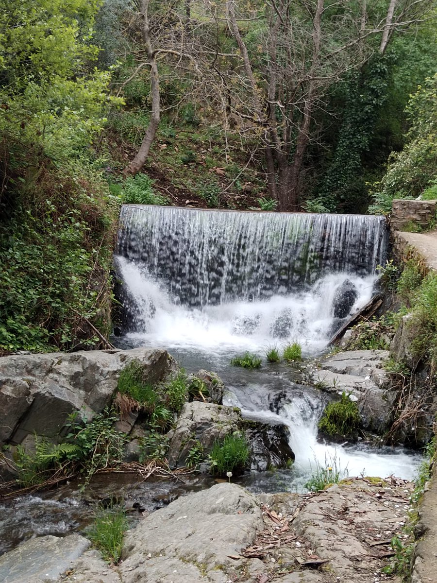 IdoiaGra's tweet image. Buenas tardes desde #SierradeGata, la maravilla natural que quieren expoliar. #noalasminas en la zona.#RobledillodeGata