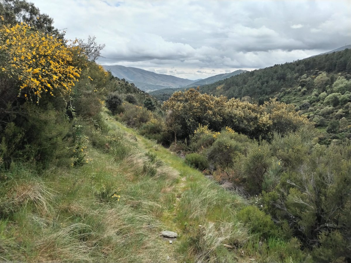 IdoiaGra's tweet image. Buenas tardes desde #SierradeGata, la maravilla natural que quieren expoliar. #noalasminas en la zona.#RobledillodeGata