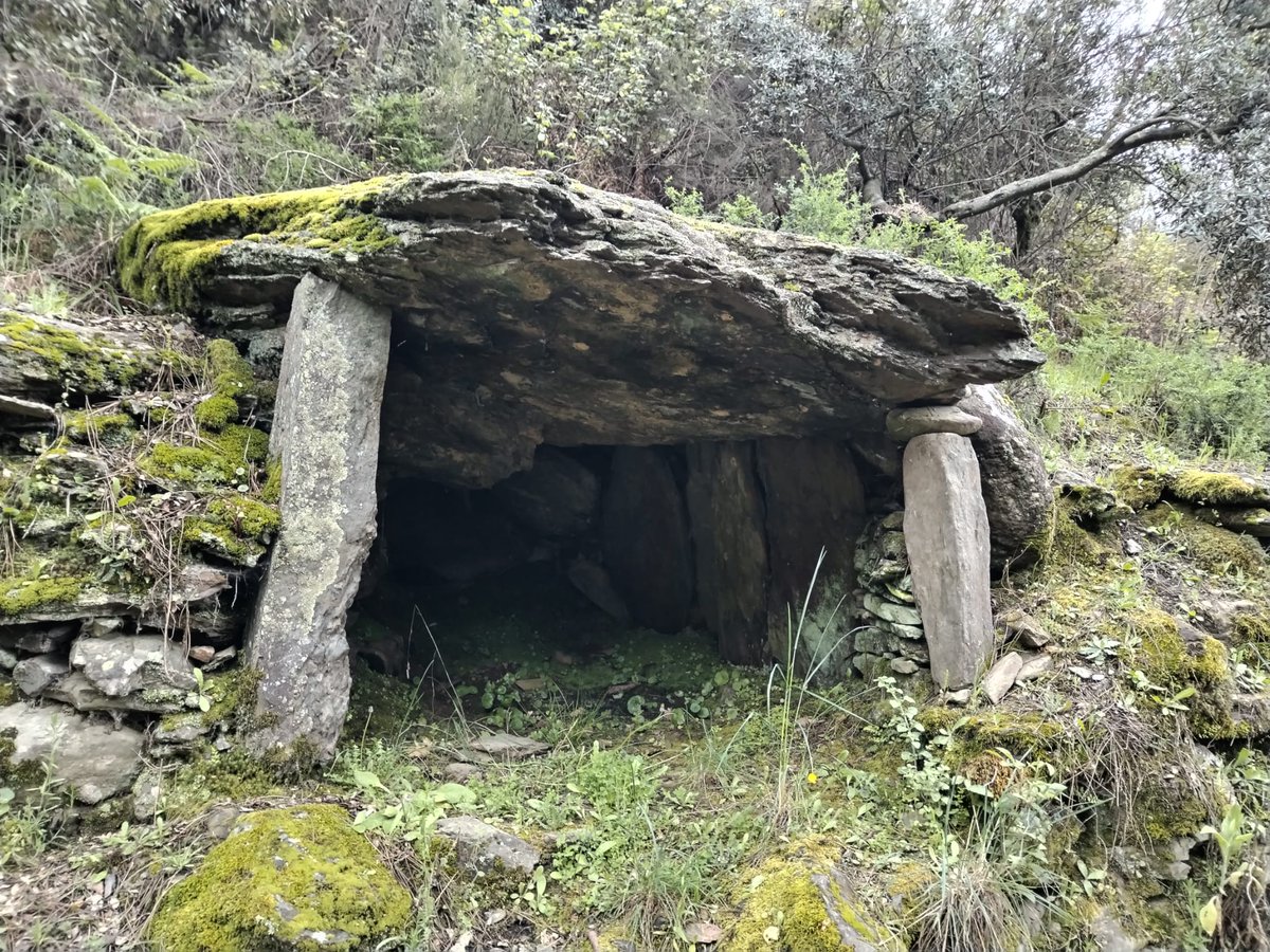 IdoiaGra's tweet image. Buenas tardes desde #SierradeGata, la maravilla natural que quieren expoliar. #noalasminas en la zona.#RobledillodeGata