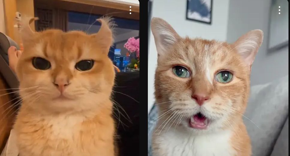 kiveOfftop's tweet image. 