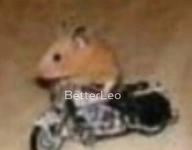 Queen Of The Gaze⚫🐺 (Clownsisant Arc 🤡🐺💜🖤🃏) tweet media