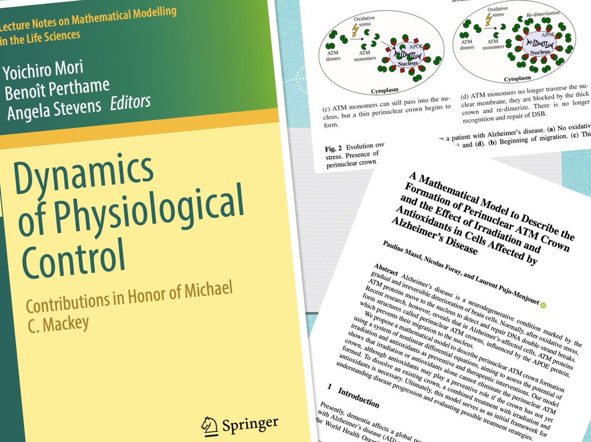 Je suis vraiment très fier d'avoir contribué à ce livre avec ce chapitre décrivant pour la première fois comment, en théorie, notre proposition de traitement de la maladie d'Alzheimer marcherait! Une nouvelle étape vers d'autres travaux qui seront publiés très bientôt!