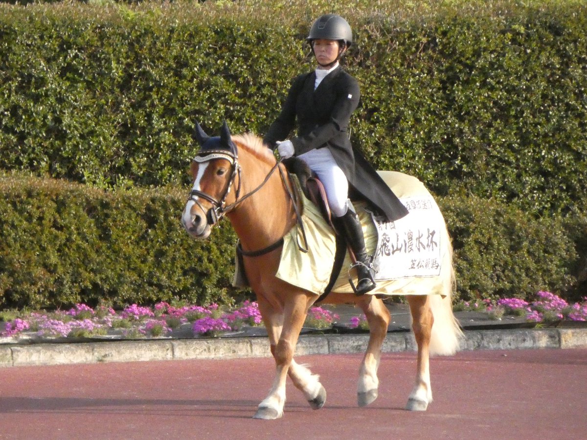 笠松ページ❁⃘*.゜ Part 2] Tsugio Matsuda: SUPER GT EXPERIENCE Let's go to the