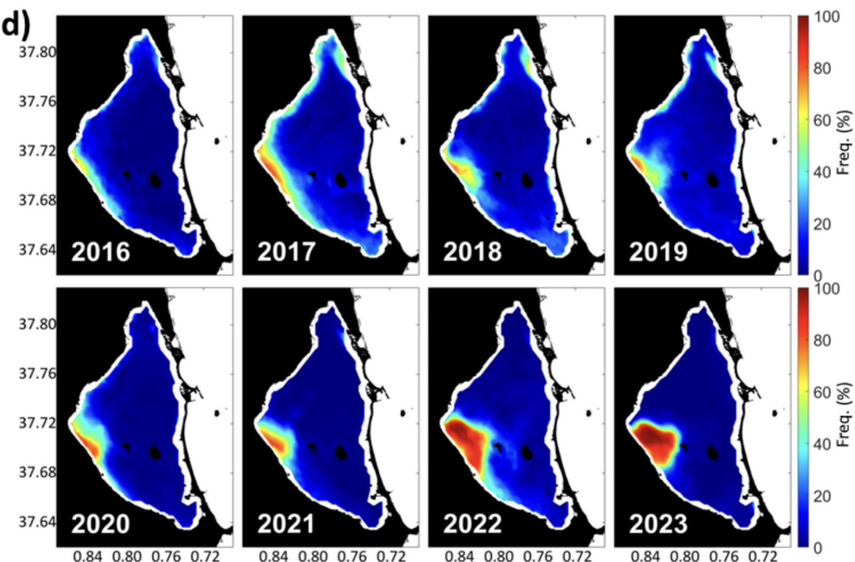 🚨Publicamos nuevo artículo! 
Una gran mancha blanca ha aparecido en el Mar Menor ¿De dónde viene? ¿Por qué ahora? ¿Qué efectos tiene? <a href="/IEOoceanografia/">Instituto Español de Oceanografía</a> <a href="/CSIC/">CSIC</a> <a href="/STOTEN_journal/">STOTEN</a> 🌊
Descúbrelo aquí 👇🏻
sciencedirect.com/science/articl…