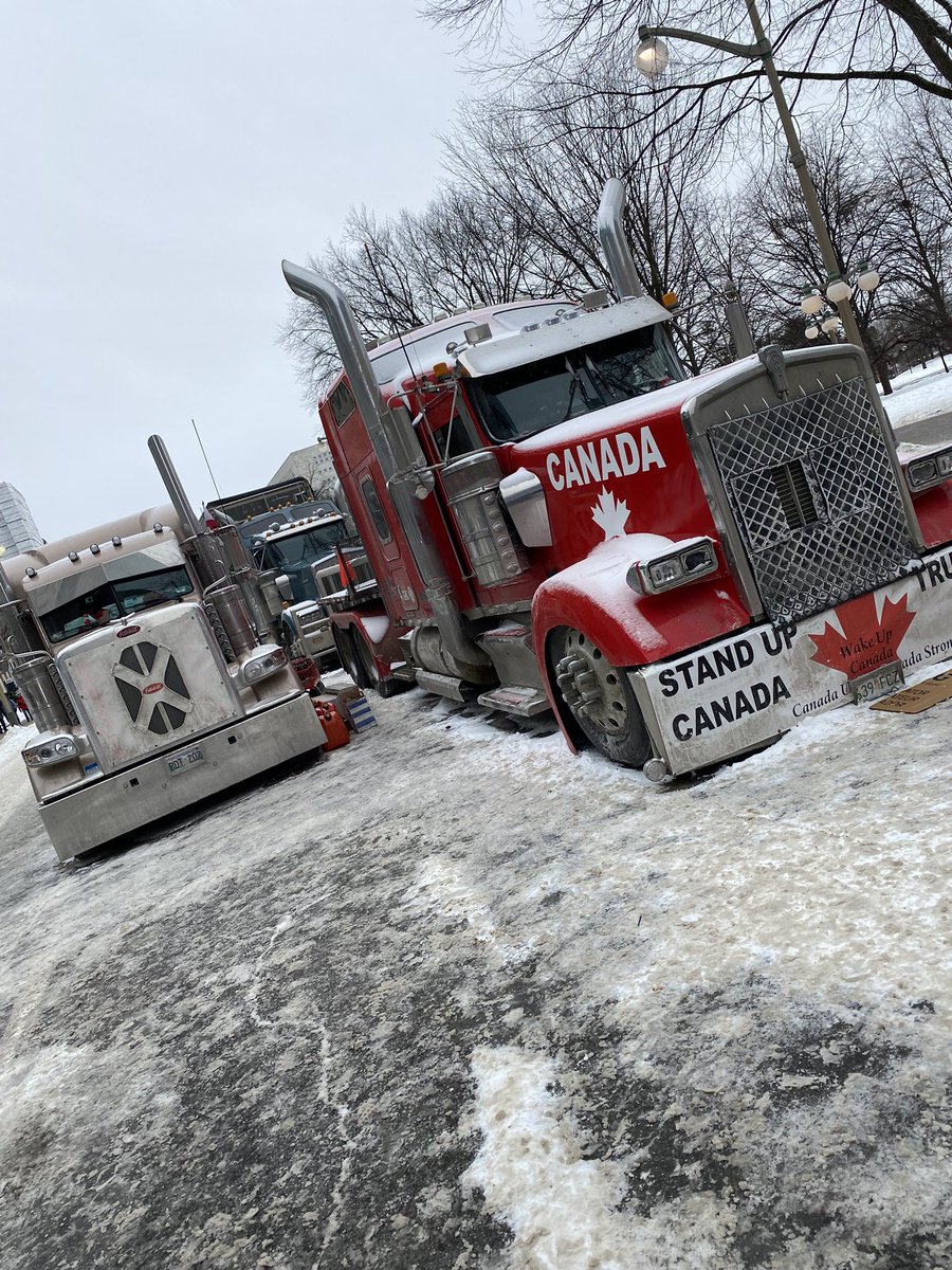 JasonRioux1066's tweet photo. @LichTamara I had a chance to see her in action
She’s a beauty🇨🇦🇨🇦🇨🇦🇨🇦🇨🇦🇨🇦🇨🇦 https://t.co/Vp7uA5bFVa
