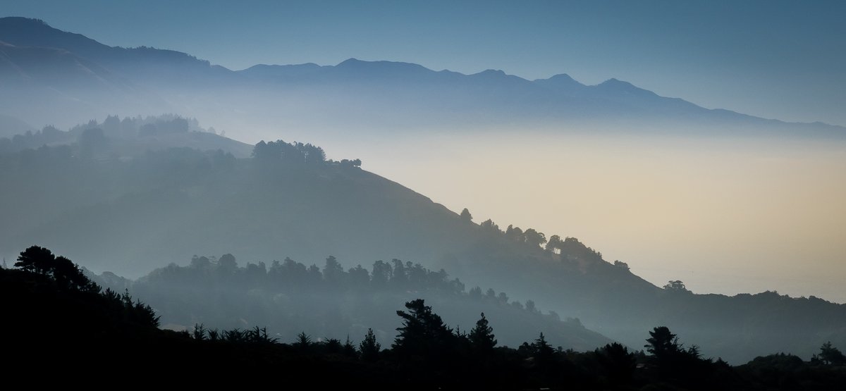 Cynical Publius tweet media