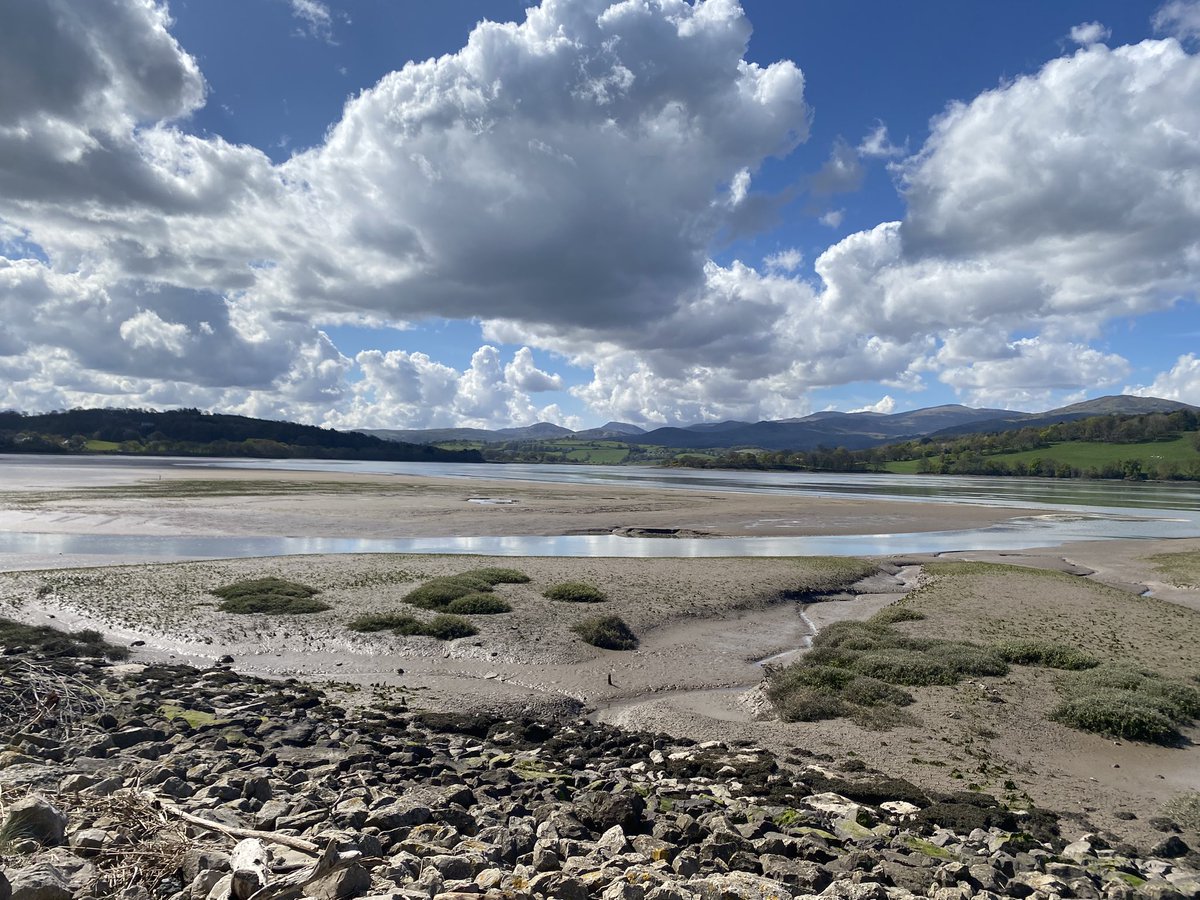 Janet Grant tweet media